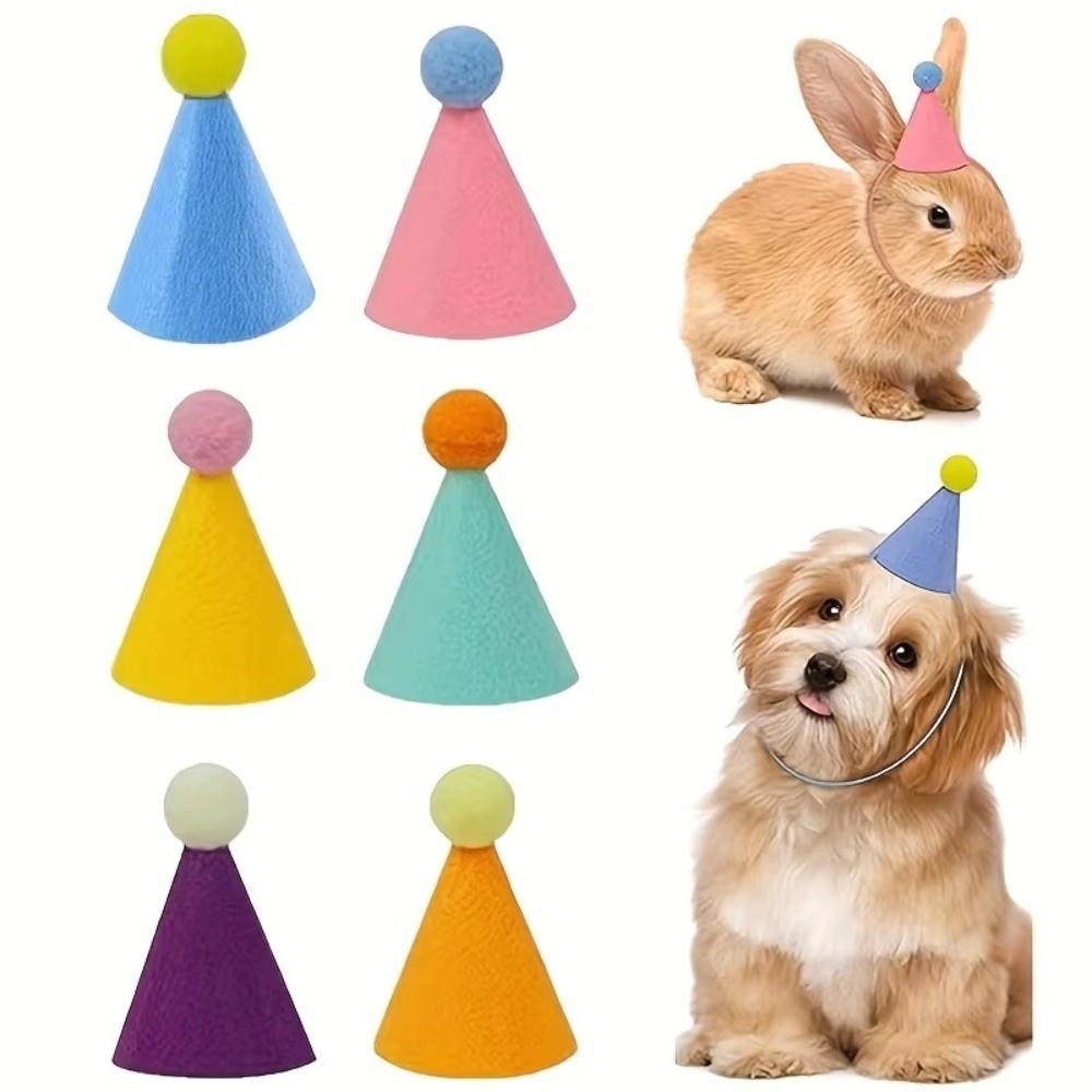 Wiederverwendbares 6-teiliges  – Party Hat Cone Bewertung und Preis